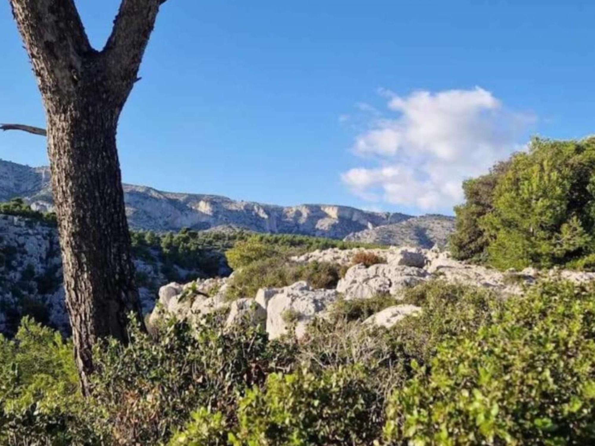 شقة Le Perchoir De Cassis Cocoon المظهر الخارجي الصورة